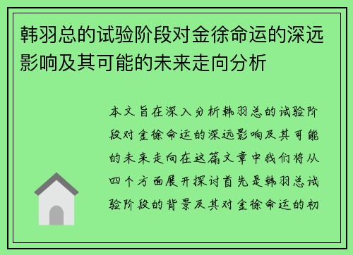 韩羽总的试验阶段对金徐命运的深远影响及其可能的未来走向分析 韩羽总的试验阶段对金徐命运的深远影响及其可能的未来走向分析